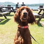 אורחן The Wateredge Inn, Ambleside- The Collection Group 4*
