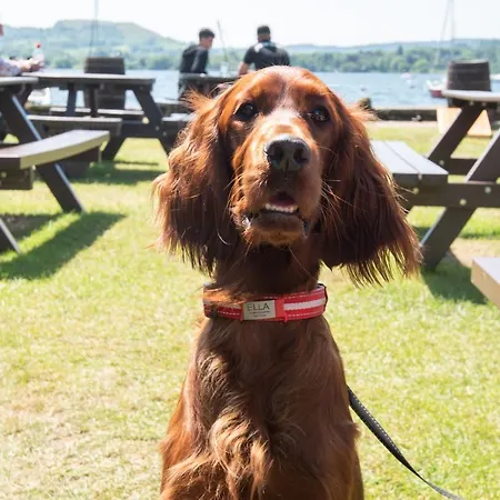 Mini-hôtel The Wateredge Inn, Ambleside- The Collection Group 4*