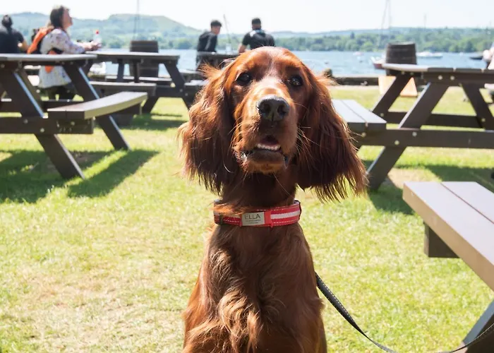 Inn The Wateredge Inn, Ambleside- The Collection Group 4*